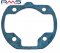 Cylinder gasket RMS