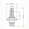 Žarnica RMS 246510181 FLOSSER moder hs1 12V 35/35W