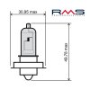 Žarnica RMS 246510425 12V 15W, P26S bela