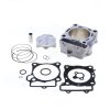 Cilinder kit ATHENA P400210100071 Standard Bore (with gaskets) d 79 mm, 250 cc