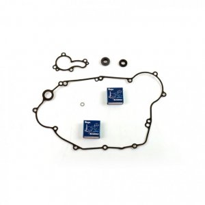 Water pump gasket kit ATHENA with bearings