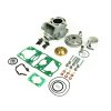 Cilinder kit ATHENA P400485100077 Big bore d 53mm, 105,46 cc /wutg exgazst valve kit and modular head)